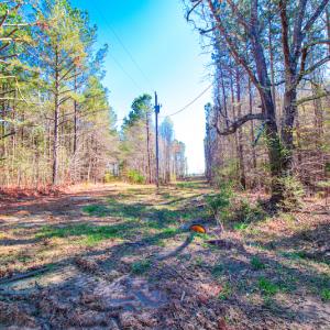 Photo #16 of SOLD property in Off Rascob Road, Sanford, NC 14.0 acres