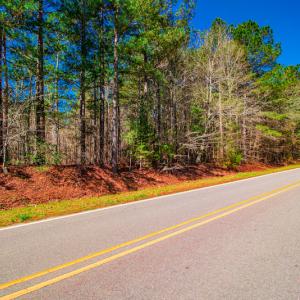 Photo #18 of SOLD property in Off Rascob Road, Sanford, NC 14.0 acres