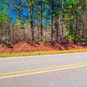 Photo #19 of SOLD property in Off Rascob Road, Sanford, NC 14.0 acres