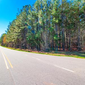 Photo #20 of SOLD property in Off Rascob Road, Sanford, NC 14.0 acres
