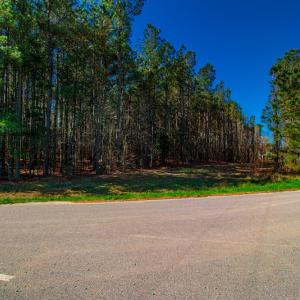 Photo #21 of SOLD property in Off Rascob Road, Sanford, NC 14.0 acres