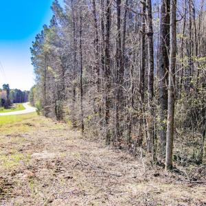 Photo #22 of SOLD property in Off Rascob Road, Sanford, NC 14.0 acres