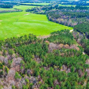 Photo #25 of SOLD property in Off Rascob Road, Sanford, NC 14.0 acres