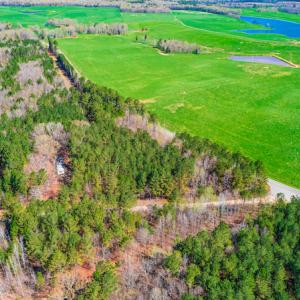 Photo #28 of SOLD property in Off Rascob Road, Sanford, NC 14.0 acres
