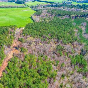 Photo #4 of SOLD property in Off Rascob Road, Sanford, NC 14.0 acres