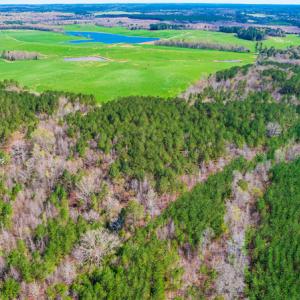 Photo #5 of SOLD property in Off Rascob Road, Sanford, NC 14.0 acres