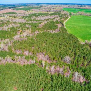 Photo #6 of SOLD property in Off Rascob Road, Sanford, NC 14.0 acres