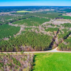 Photo #8 of SOLD property in Off Rascob Road, Sanford, NC 14.0 acres