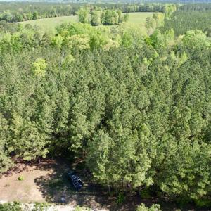 Photo #10 of SOLD property in On Spraggins Road, Gasburg, VA 7.3 acres