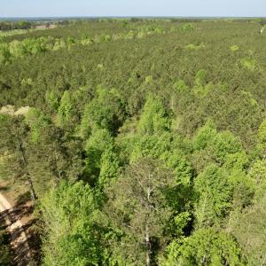 Photo #13 of SOLD property in On Spraggins Road, Gasburg, VA 7.3 acres