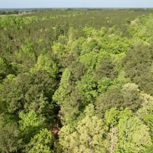 Photo #14 of SOLD property in On Spraggins Road, Gasburg, VA 7.3 acres