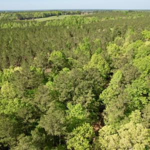 Photo #15 of SOLD property in On Spraggins Road, Gasburg, VA 7.3 acres