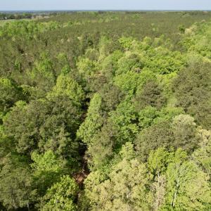 Photo #16 of SOLD property in On Spraggins Road, Gasburg, VA 7.3 acres