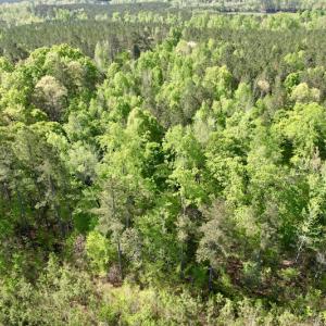 Photo #17 of SOLD property in On Spraggins Road, Gasburg, VA 7.3 acres