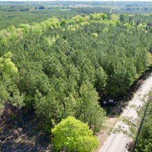 Photo #2 of SOLD property in On Spraggins Road, Gasburg, VA 7.3 acres