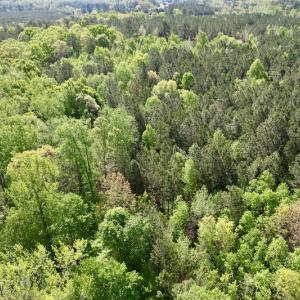 Photo #20 of SOLD property in On Spraggins Road, Gasburg, VA 7.3 acres