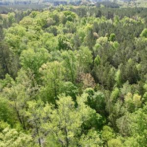 Photo #21 of SOLD property in On Spraggins Road, Gasburg, VA 7.3 acres
