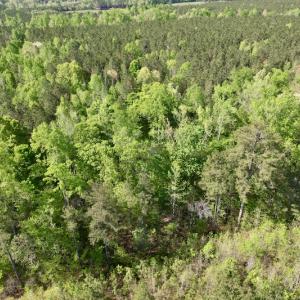 Photo #22 of SOLD property in On Spraggins Road, Gasburg, VA 7.3 acres