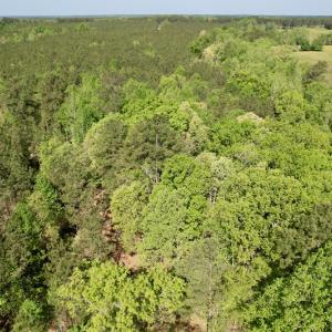 Photo #24 of SOLD property in On Spraggins Road, Gasburg, VA 7.3 acres