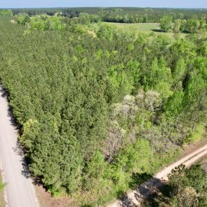 Photo #3 of SOLD property in On Spraggins Road, Gasburg, VA 7.3 acres