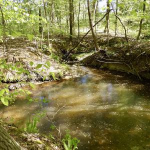 Photo #30 of SOLD property in On Spraggins Road, Gasburg, VA 7.3 acres