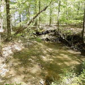 Photo #31 of SOLD property in On Spraggins Road, Gasburg, VA 7.3 acres