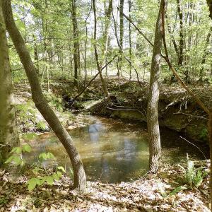 Photo #32 of SOLD property in On Spraggins Road, Gasburg, VA 7.3 acres