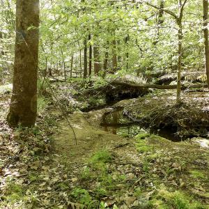 Photo #33 of SOLD property in On Spraggins Road, Gasburg, VA 7.3 acres