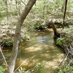 Photo #34 of SOLD property in On Spraggins Road, Gasburg, VA 7.3 acres