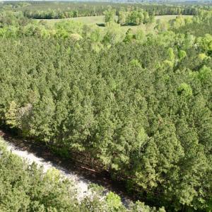 Photo #4 of SOLD property in On Spraggins Road, Gasburg, VA 7.3 acres
