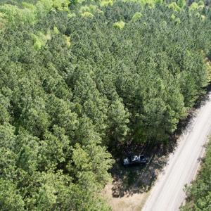 Photo #5 of SOLD property in On Spraggins Road, Gasburg, VA 7.3 acres