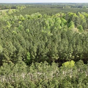 Photo #6 of SOLD property in On Spraggins Road, Gasburg, VA 7.3 acres