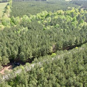 Photo #8 of SOLD property in On Spraggins Road, Gasburg, VA 7.3 acres