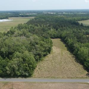Photo #2 of SOLD property in Off Mill Branch Road, Fairmont, NC 40.0 acres