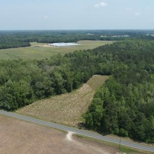 Photo #3 of SOLD property in Off Mill Branch Road, Fairmont, NC 40.0 acres