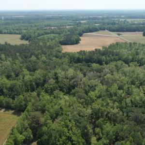 Photo #5 of SOLD property in Off Mill Branch Road, Fairmont, NC 40.0 acres