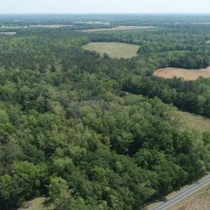 Photo #6 of Off Mill Branch Road, Fairmont, NC 40.0 acres