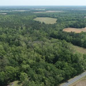 Photo #6 of SOLD property in Off Mill Branch Road, Fairmont, NC 40.0 acres