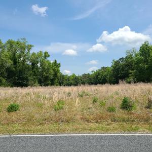 Photo #7 of SOLD property in Off Mill Branch Road, Fairmont, NC 40.0 acres