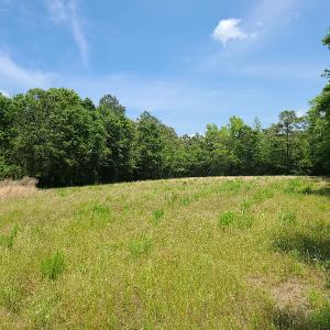 Photo #10 of SOLD property in Off Mill Branch Road, Fairmont, NC 40.0 acres