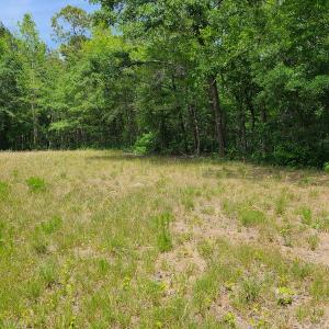 Photo #11 of SOLD property in Off Mill Branch Road, Fairmont, NC 40.0 acres