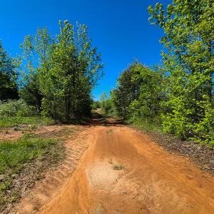 Photo #4 of SOLD property in Off Philpott Road, South Boston, VA 89.0 acres