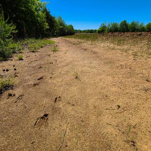 Photo #6 of SOLD property in Off Philpott Road, South Boston, VA 89.0 acres
