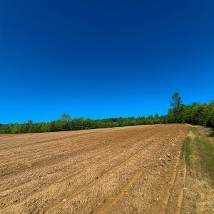 Photo #7 of SOLD property in Off Philpott Road, South Boston, VA 89.0 acres