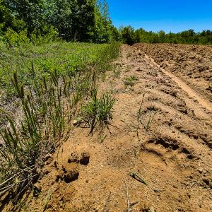 Photo #11 of SOLD property in Off Philpott Road, South Boston, VA 89.0 acres