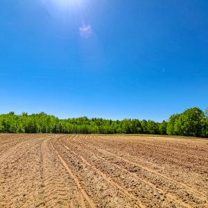 Photo #8 of SOLD property in Off Philpott Road, South Boston, VA 89.0 acres