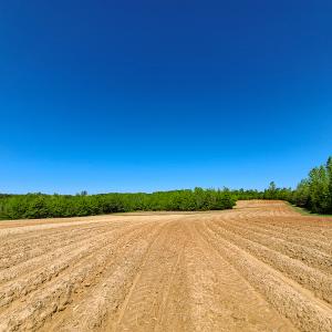 Photo #9 of SOLD property in Off Philpott Road, South Boston, VA 89.0 acres