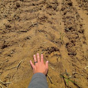 Photo #15 of SOLD property in Off Philpott Road, South Boston, VA 89.0 acres