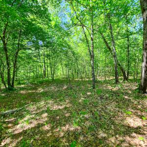 Photo #16 of SOLD property in Off Philpott Road, South Boston, VA 89.0 acres