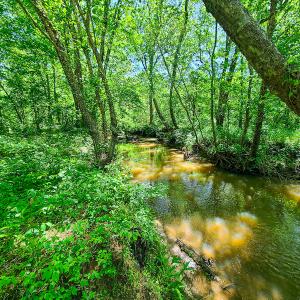 Photo #19 of SOLD property in Off Philpott Road, South Boston, VA 89.0 acres